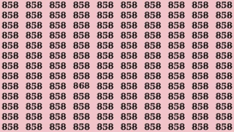 Can You Spot 868 among 858 in 30 Seconds? Explanation and Solution to the Optical Illusion