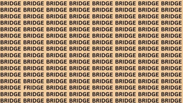 Can You Find Fridge Among Bridge in 18 Secs? Explanation And Solution To The Optical Illusion Eye Test